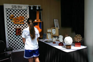 DeaFestival 2006