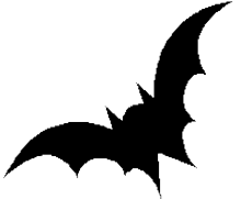 first bat