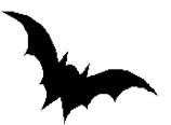fourth bat